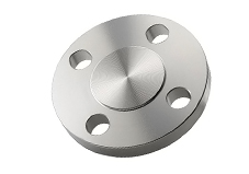 SS Flanges
