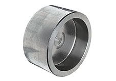 SS Forged Pipe Cap